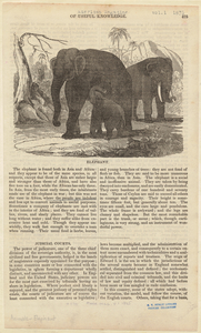 Image ID 822504