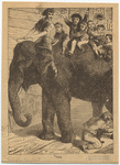Image ID 822530