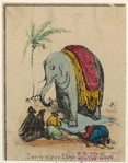 Image ID 822532