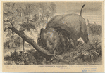 Image ID 822535