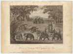 Image ID 822542