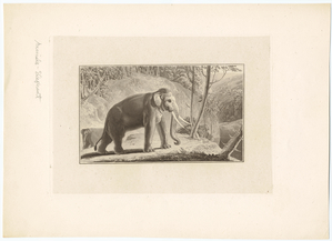 Image ID 822544