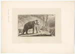 Image ID 822544