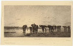 Image ID 822545