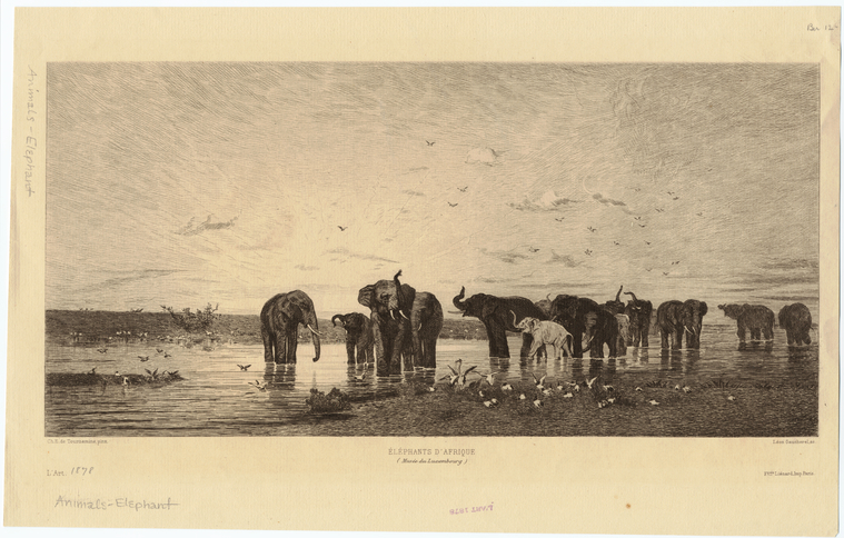 Image ID 822545
