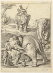 Image ID 822550
