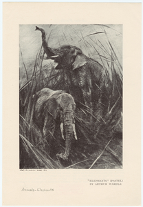 Image ID 822556