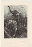 Image ID 822556