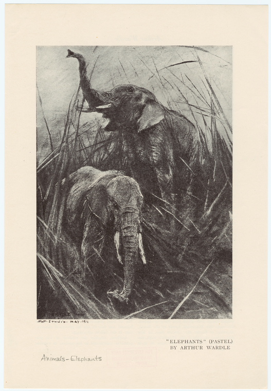 Image ID 822556
