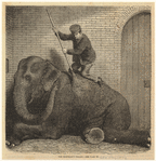 Image ID 822560