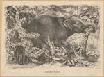 Image ID 822561