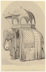 Image ID 822562
