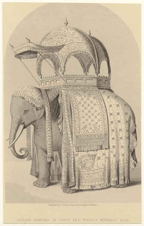 Image ID 822562
