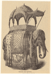 Image ID 822564