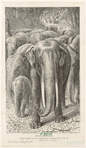Image ID 822568