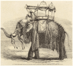 Image ID 822571