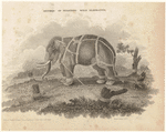 Image ID 822576