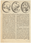 Image ID 822580