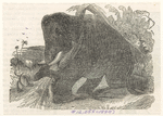 Image ID 822581