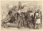 Image ID 822582