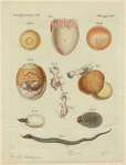 Image ID 822598