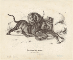 Image ID 822602