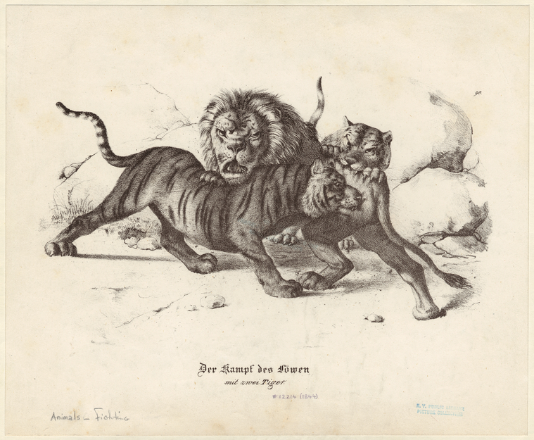 Image ID 822602

