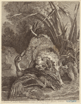 Image ID 822603