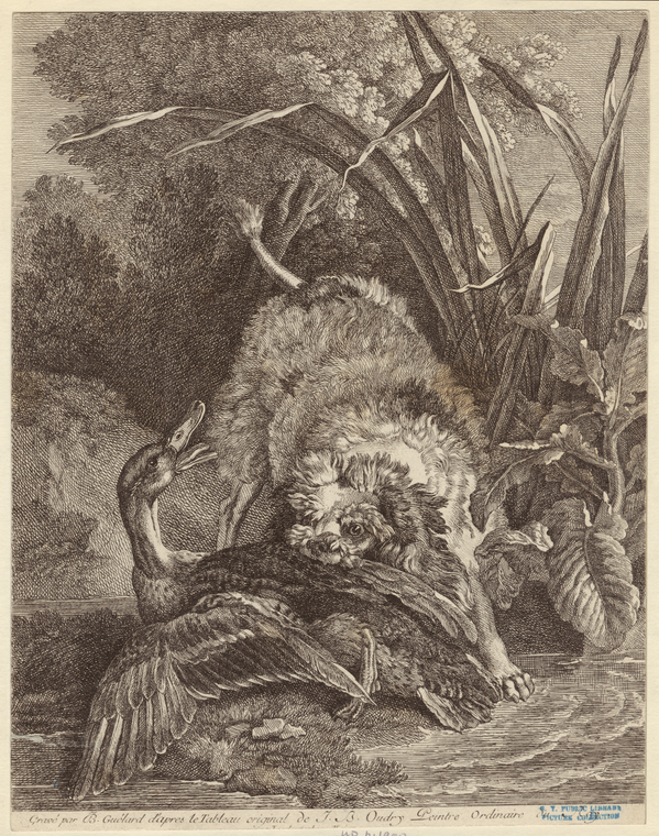 Image ID 822603
