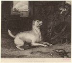 Image ID 822606