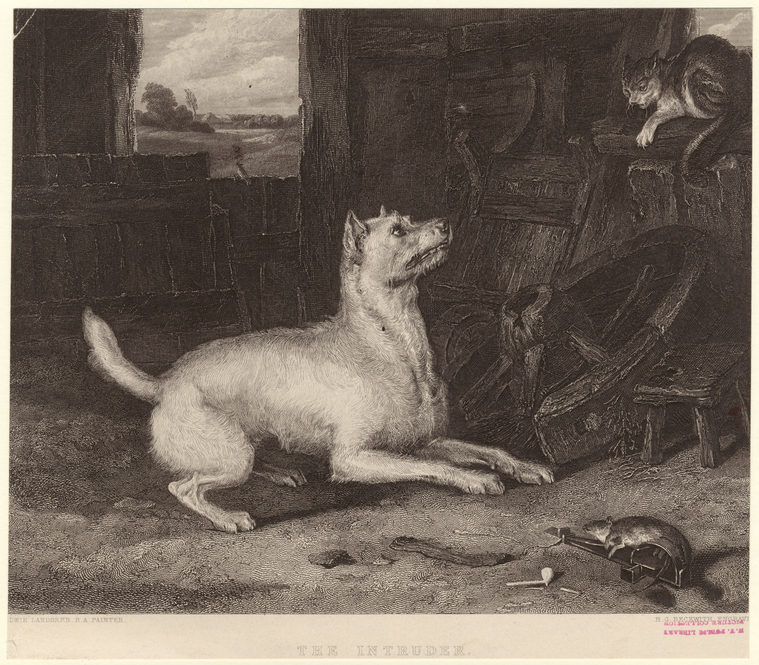 Image ID 822606
