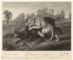 Image ID 822608