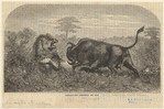 Image ID 822609