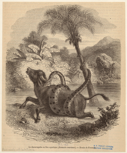 Image ID 822614