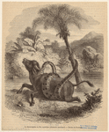 Image ID 822614
