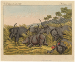 Image ID 822615