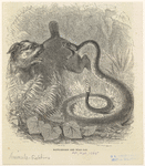 Image ID 822616