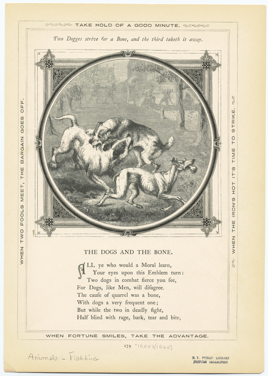 Image ID 822618
