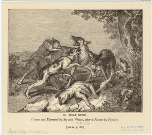 Image ID 822622