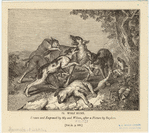 Image ID 822622