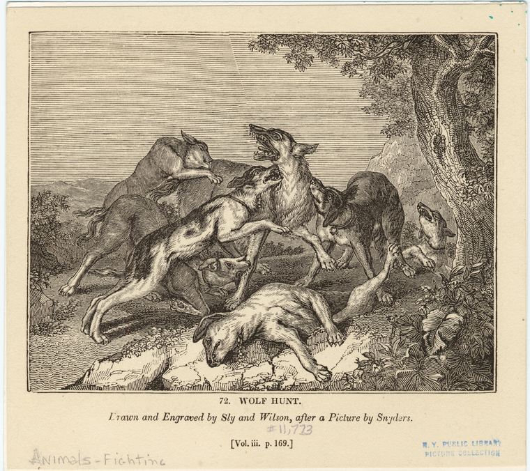 Image ID 822622

