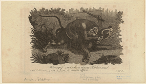 Image ID 822624