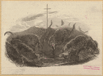 Image ID 822629