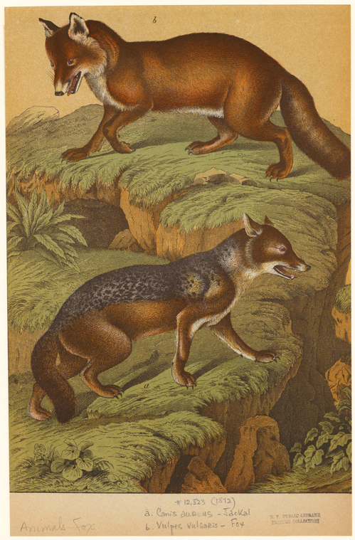 Image ID 822631
