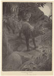 Image ID 822633