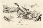 Image ID 822634
