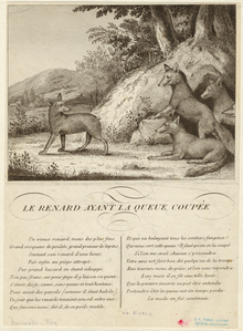 Image ID 822635