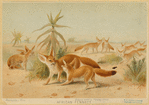 Image ID 822637
