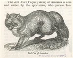 Image ID 822638