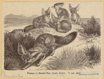 Image ID 822641